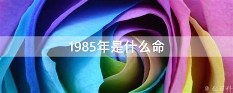 1985年是什么命|1985年的命五行是什么？ 85年出生的人的命运如何？